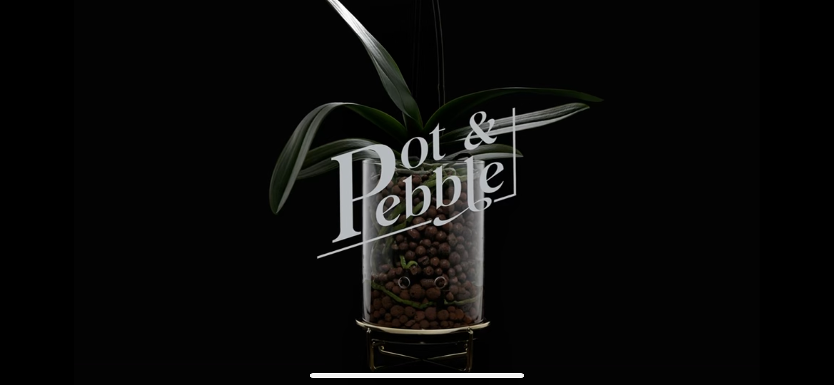 Pot & Pebble Glas-Pflanzgefäß Mit Holzsockel – Selbstbewässernd, Mit Wasserstandsanzeige – Für Hydrokultur & Zimmerpflanzen