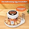 Product Photo 2