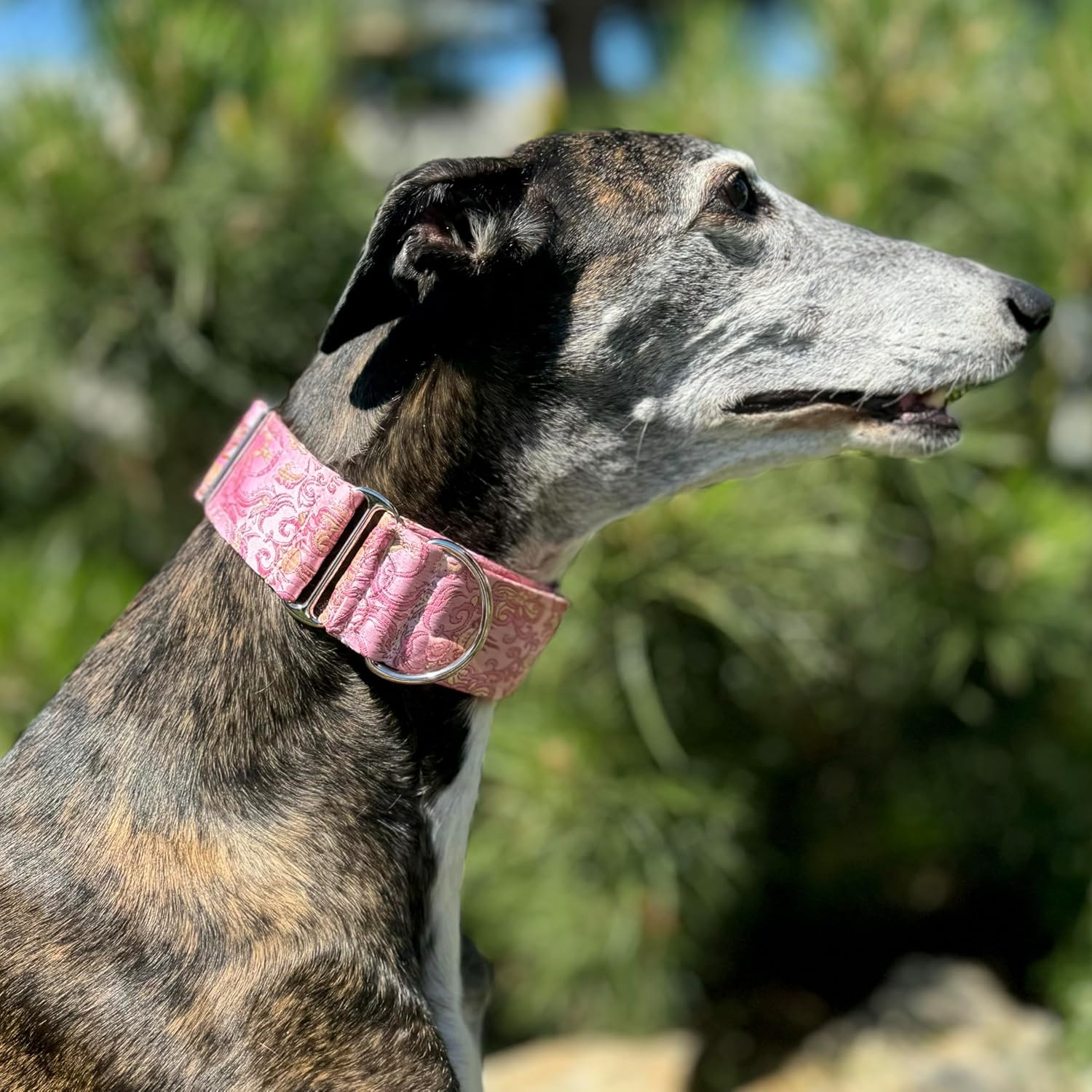 SGang Extra Soft Martingale Dog Collar for Greyhound Saluki Whippet and Other Breeds with Similar Neck 2inch Wide (XL 17”-22”) Pink