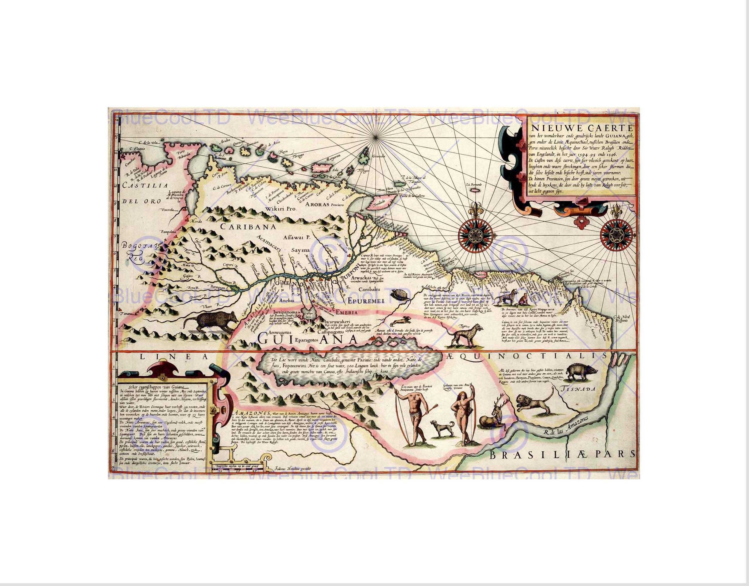 Wee Blue Coo Map Antique Guyana Caribbean South America Wall Art Print