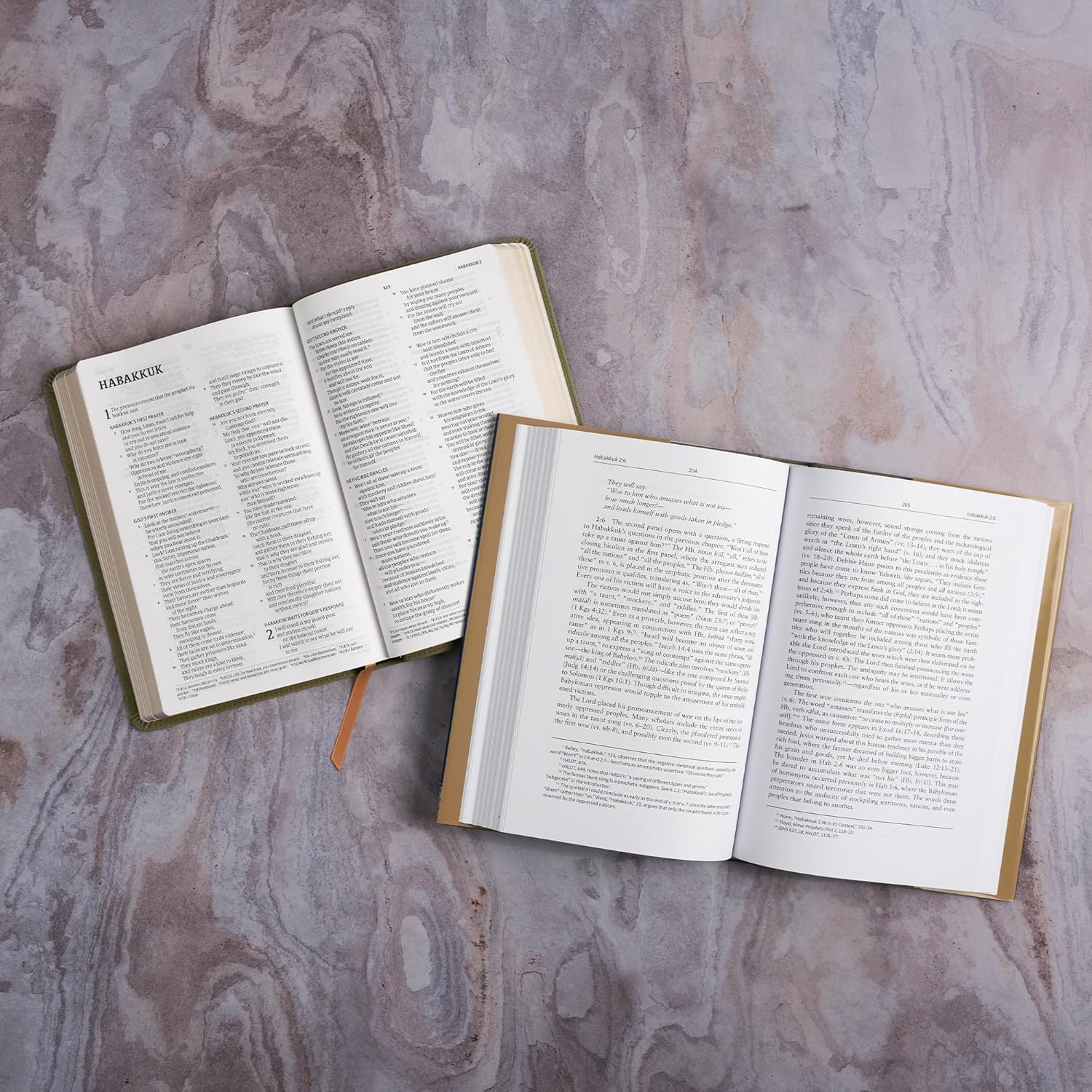 Habakkuk: The Christian Standard Commentary - Image 15