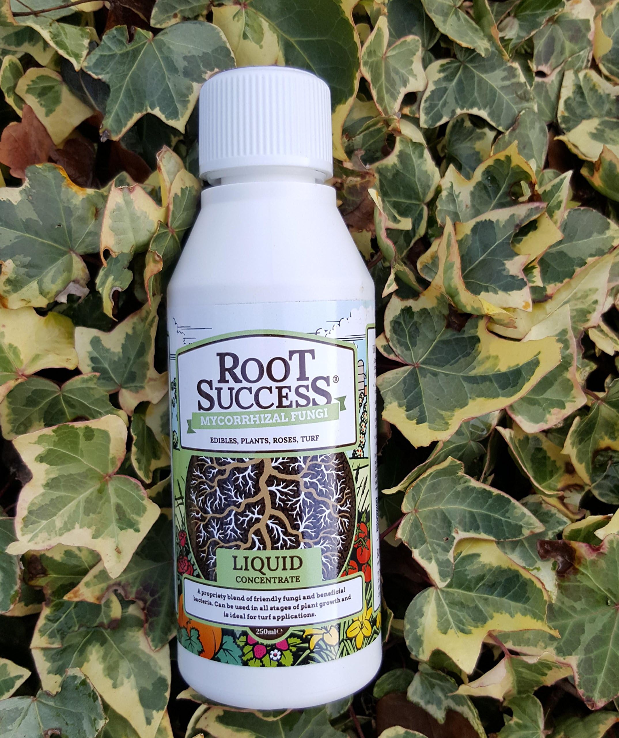 Mycorrhizal Fungi for Lawns