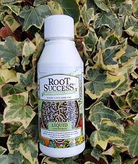 Root Success Mycorrhizal Fungi for Lawns
