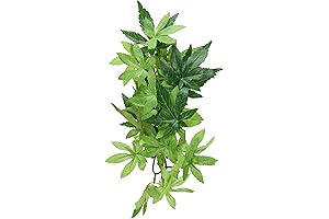 Exo Terra Silk Terrarium Plant, Small, Abutilon: Spruce Up Your Terrarium