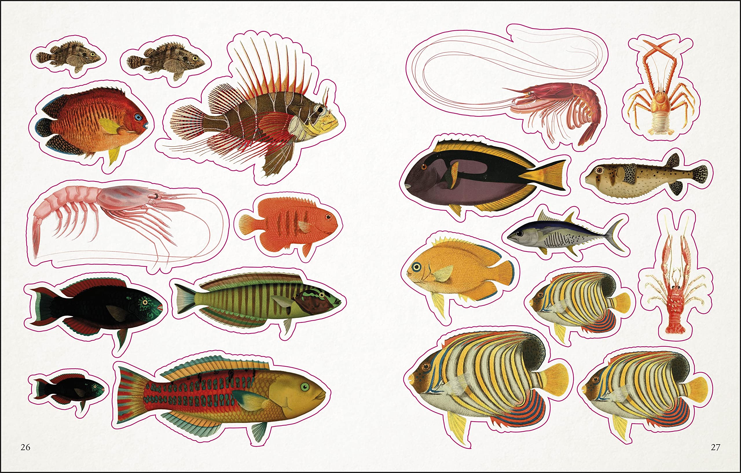 The Seashore Sticker Anthology: With More Than 1,000 Vintage Stickers