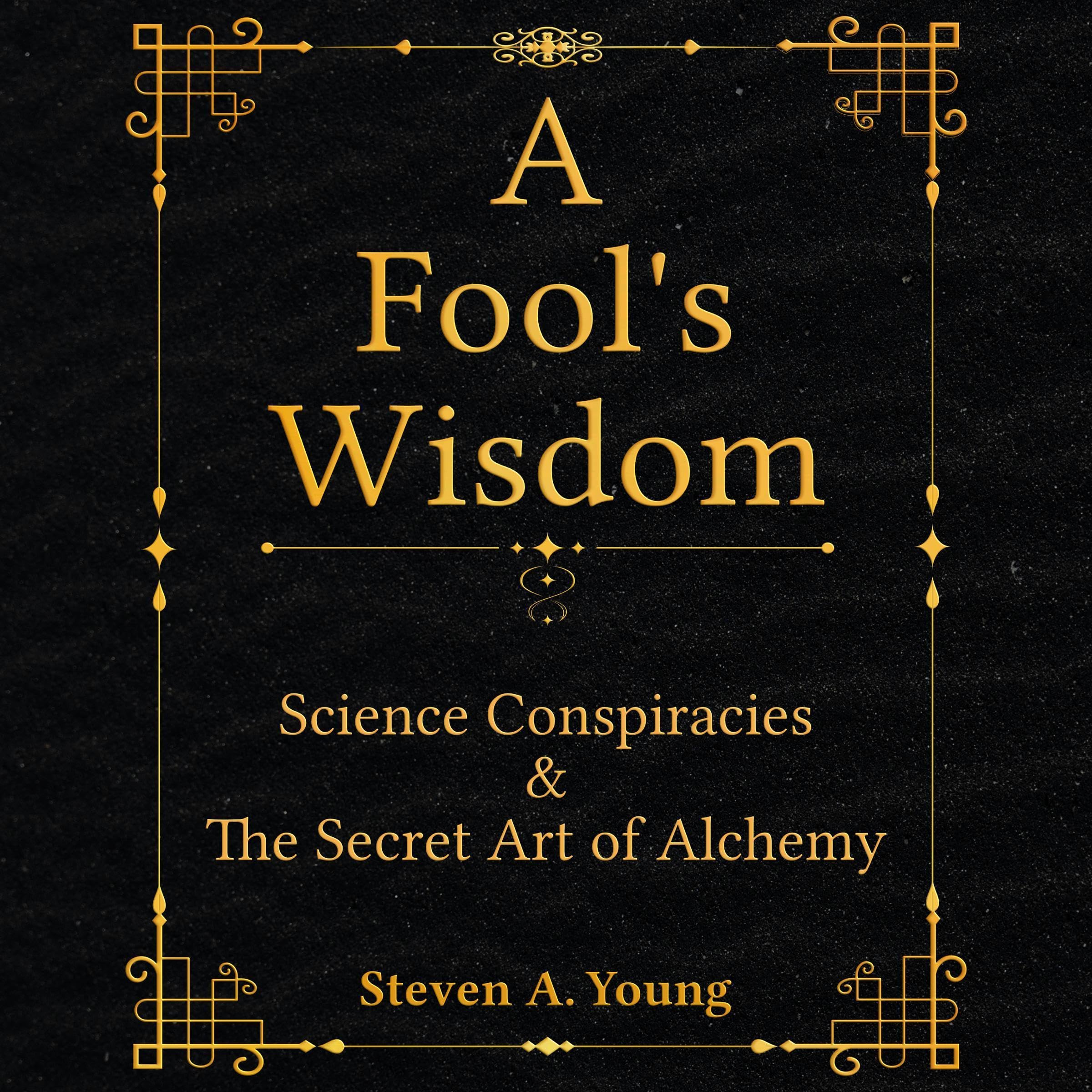 Cover art for A Fool's Wisdom