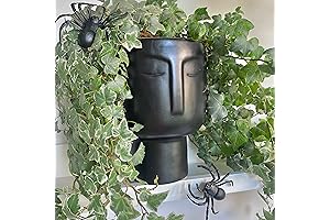 Mesmerizing Ceramic Face Vase: Bring Beauty and Serenity to Your Living Space