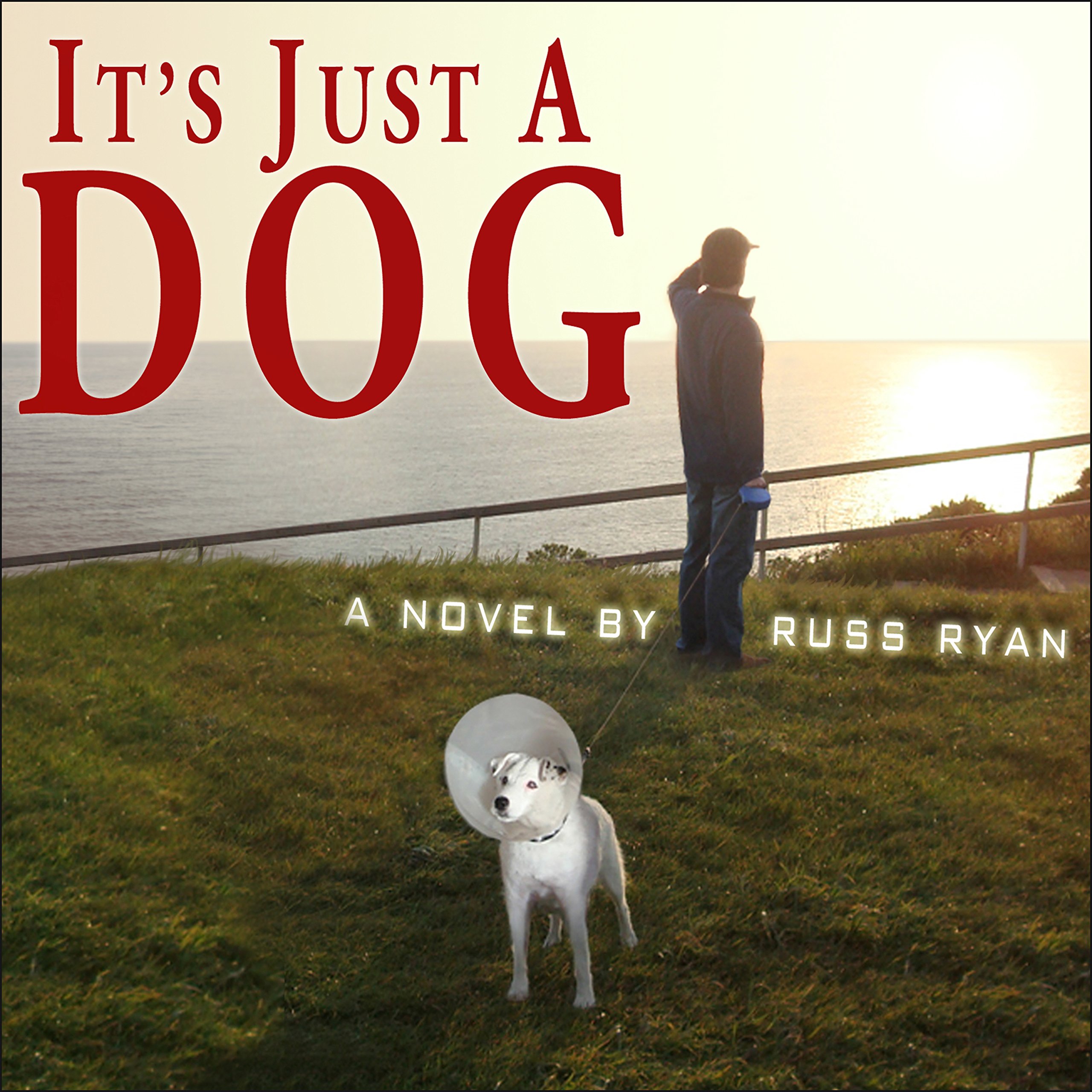 Cover art for It's Just a Dog