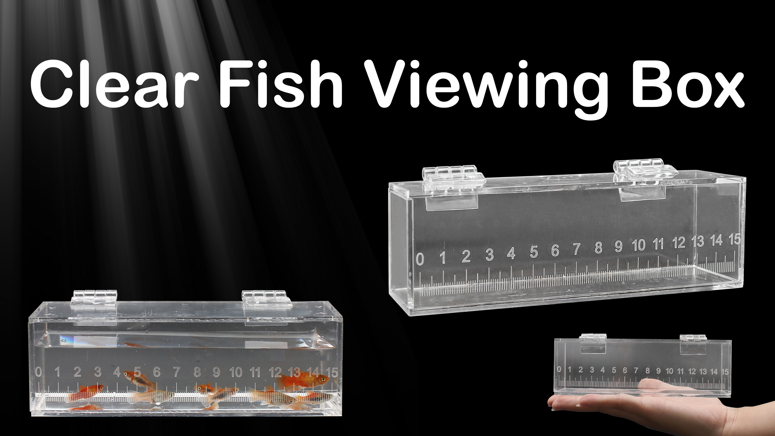 Shell Viewing Box Spiderman Pez Acrylic Fishing Photo Tank - Transparent Fish Isolation ...