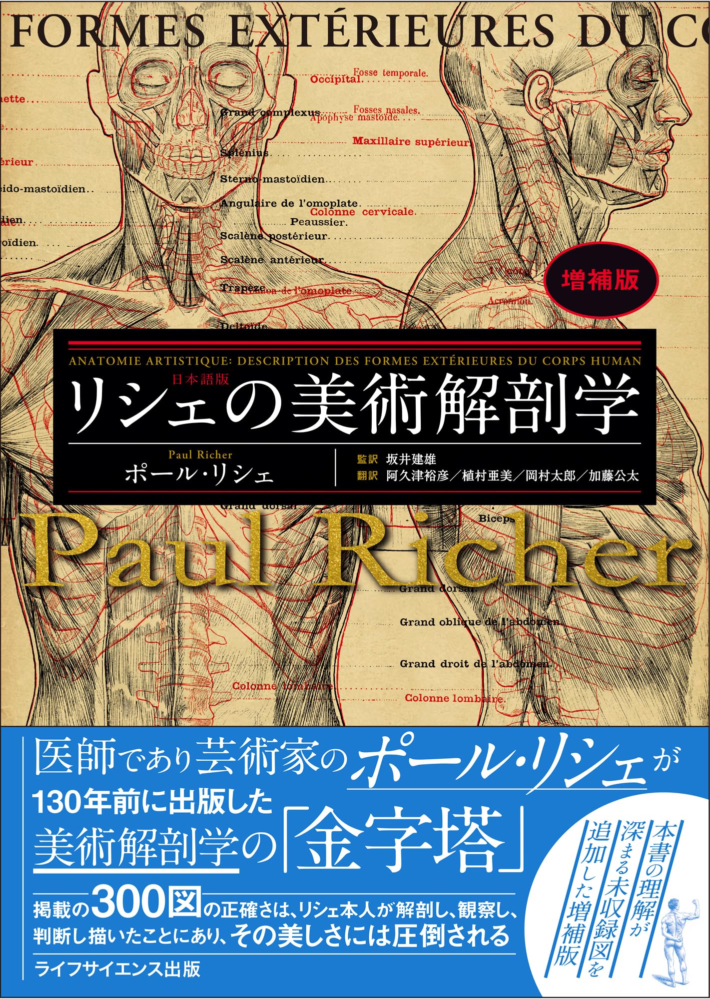 リシェの美術解剖学 増補版 | ポール・リシェ, 坂井建雄, 阿久津裕彦