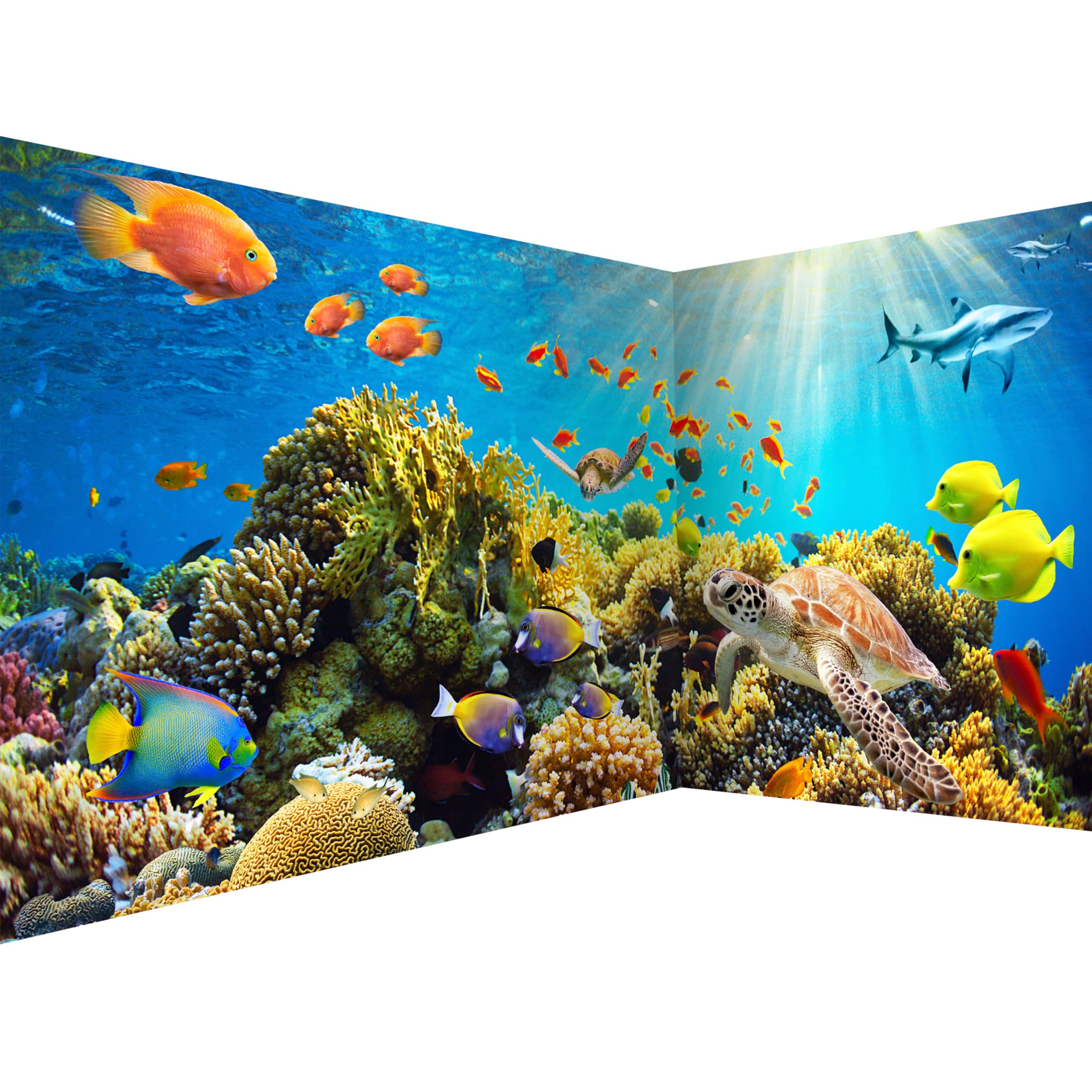 murando Photo Wallpaper Underwater World 539x250 cm / 212" x 98" Peel and Stick Self-Adhesive Corner Foil Print Wall Mural Angle Wallpaper Ocean Aquarium Fish Coral Reef sea b-A-0002-a-b — image 1