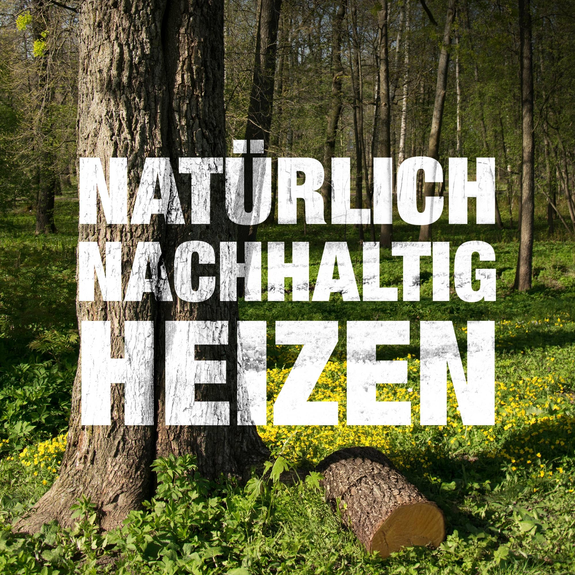 30kg RUF Hartholz Briketts Buche & Eiche Holz - Nachhaltige Holzbriketts ohne Bindemittel, ohne chemische Zusätze, CO2-neutral, hohe Wärmeleistung, für Kamin, Kachelofen, Ofen, Grill und Feuerschalen