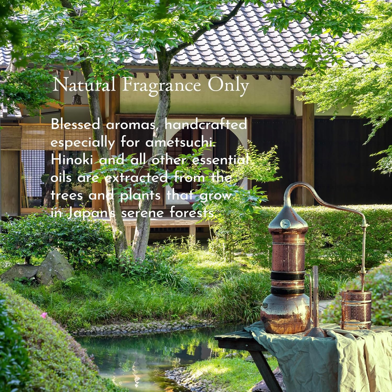 ametsuchi Cure Shampoo with Hinoki – For Dry Hair, Deep Hydration, Color-Safe, Damage Care, Made in Japan