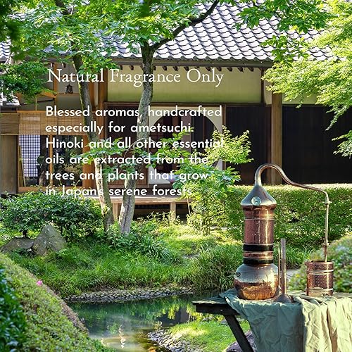 Miniatura 3 de ametsuchi Set de champú y acondicionador para el cabello seco