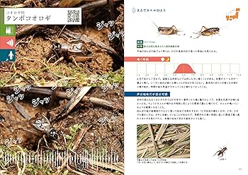 鳴く虫「音声」図鑑 QRコードで声を聴く、音で探せる
