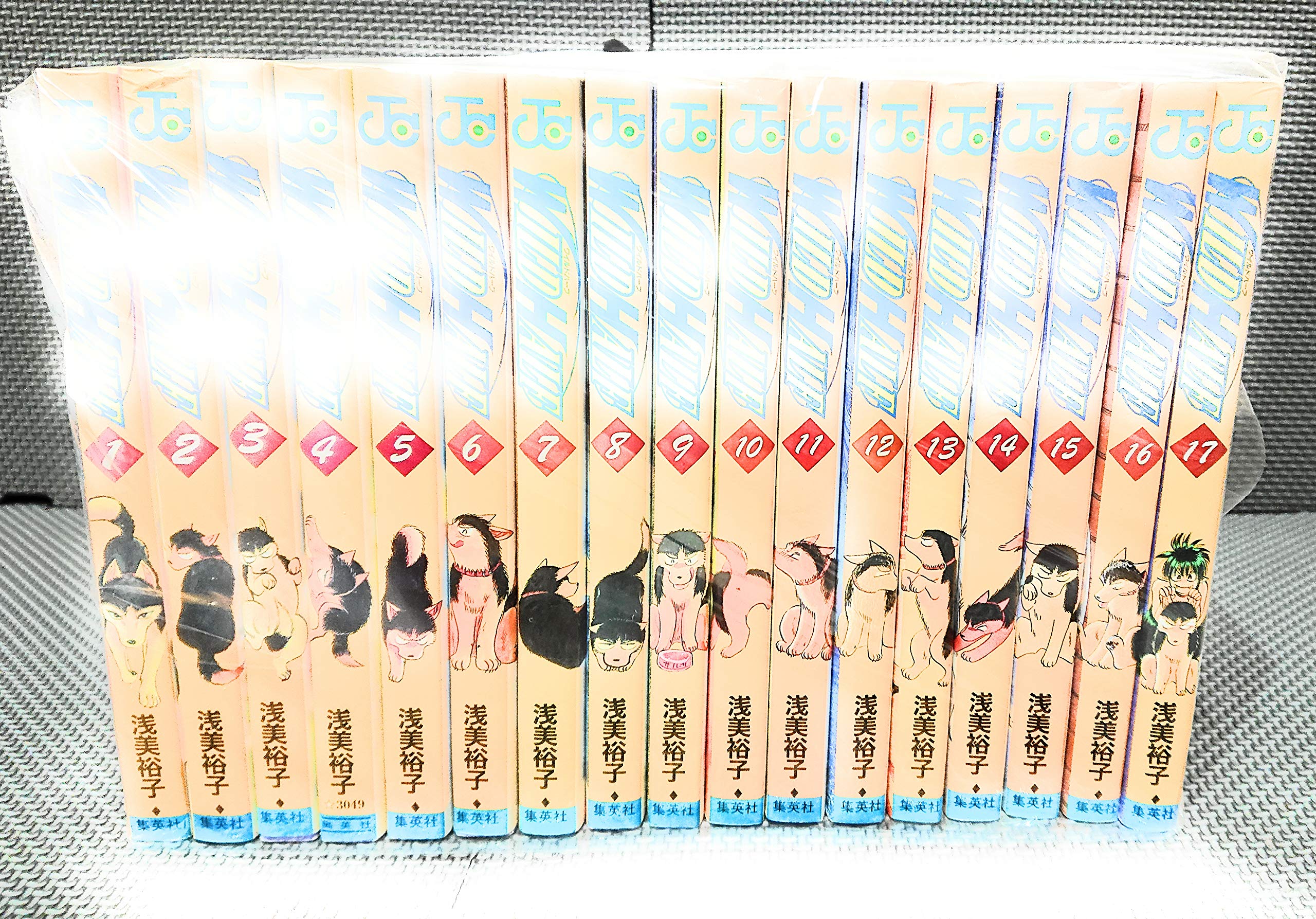 WILD HALF(ワイルドハーフ)　全17巻(計17冊)　ジャンプコミックス 91A6Cr1qDML.jpg
