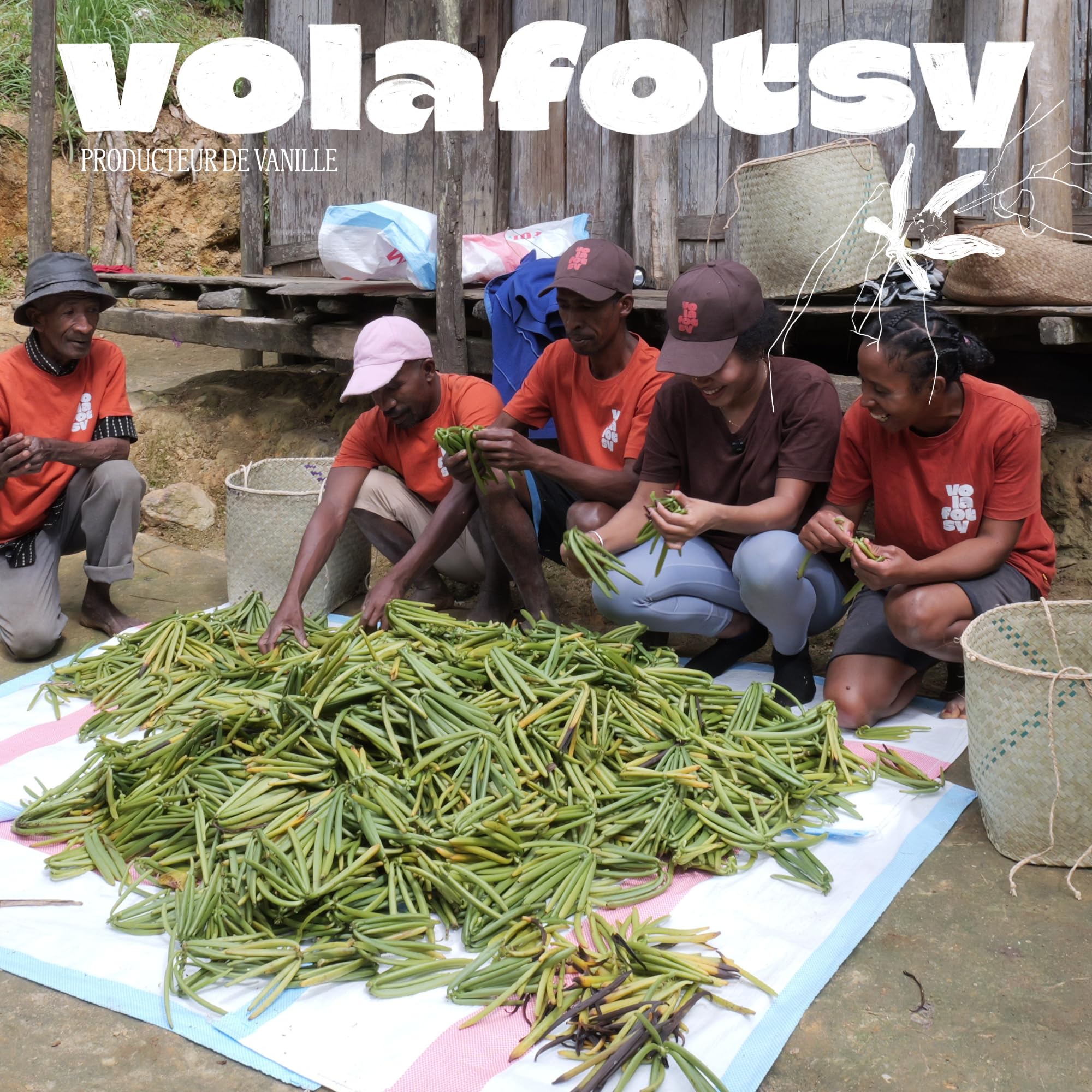 VOLAFOTSY – 50 Gousses de Vanille Bourbon Premium de Madagascar 16-18 cm | Direct Producteur Sambava | Riches en Grains | Qualité Gourmet | Idéales pour Pâtisserie, Desserts et Extraits