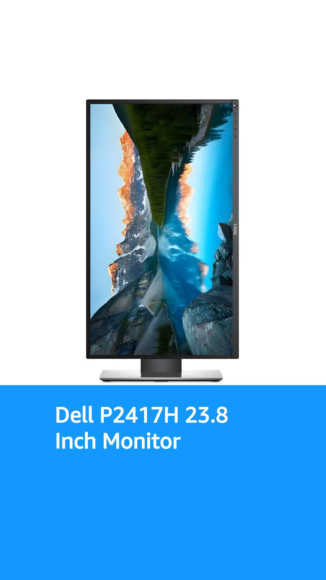 DELL Professional P2417H 23.8