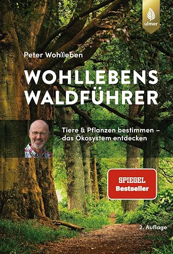 Wohllebens Waldführer: Der Spiegel-Bestseller. Tiere und Pflanzen bestimmen – das Ökosystem entdecken