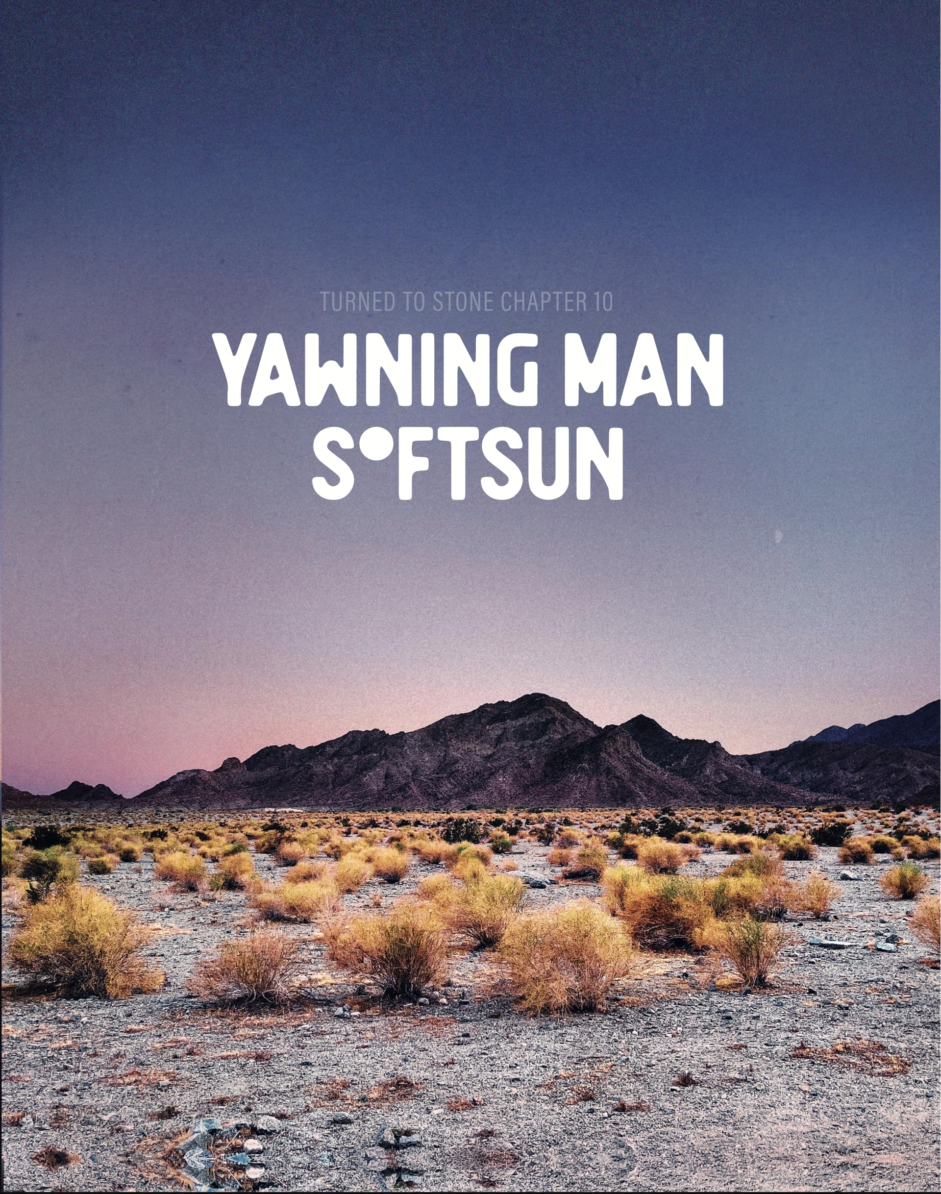 TEN EAST/SOFTSUN - Turned To Stone: Chapter 10 - Vinyl (blue in purple vinyl LP)