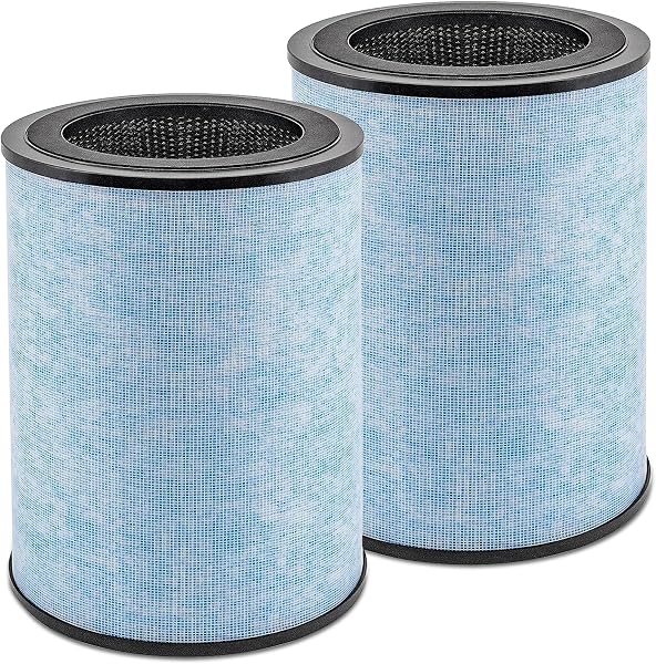 2 Pack for Instant AP300 Filter Replacement, True and Activated Carbon Filter, Compatible with Instant AP300, Compare to