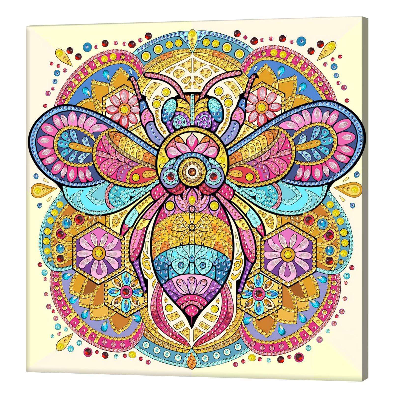Kexpery 5D Diamond Painting Kits Partial Frame 25x25cm for Beginners Gems