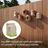 Ver la foto 6