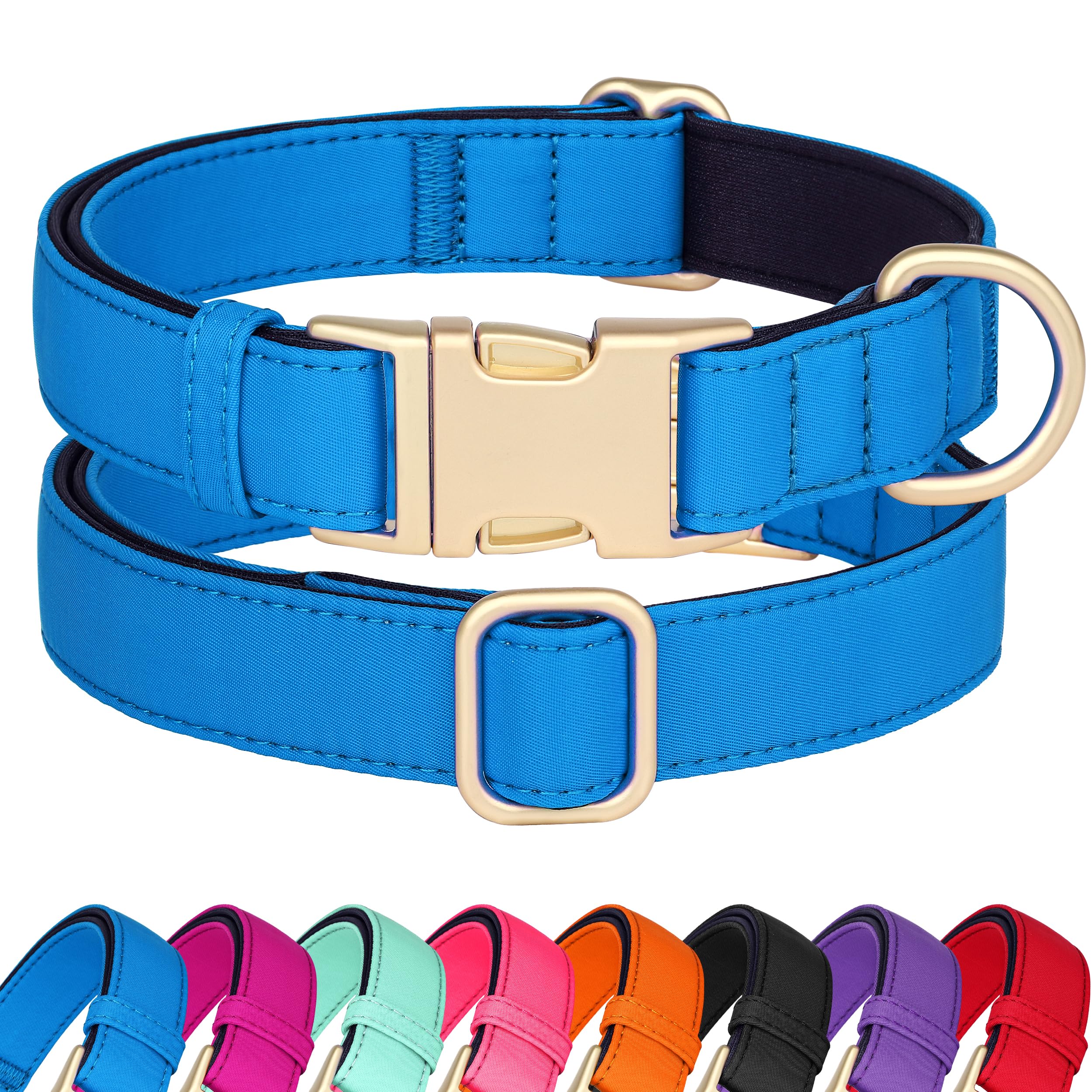 Collier pour chien imperméable et respirant avec mousse de protection Didog S bleu