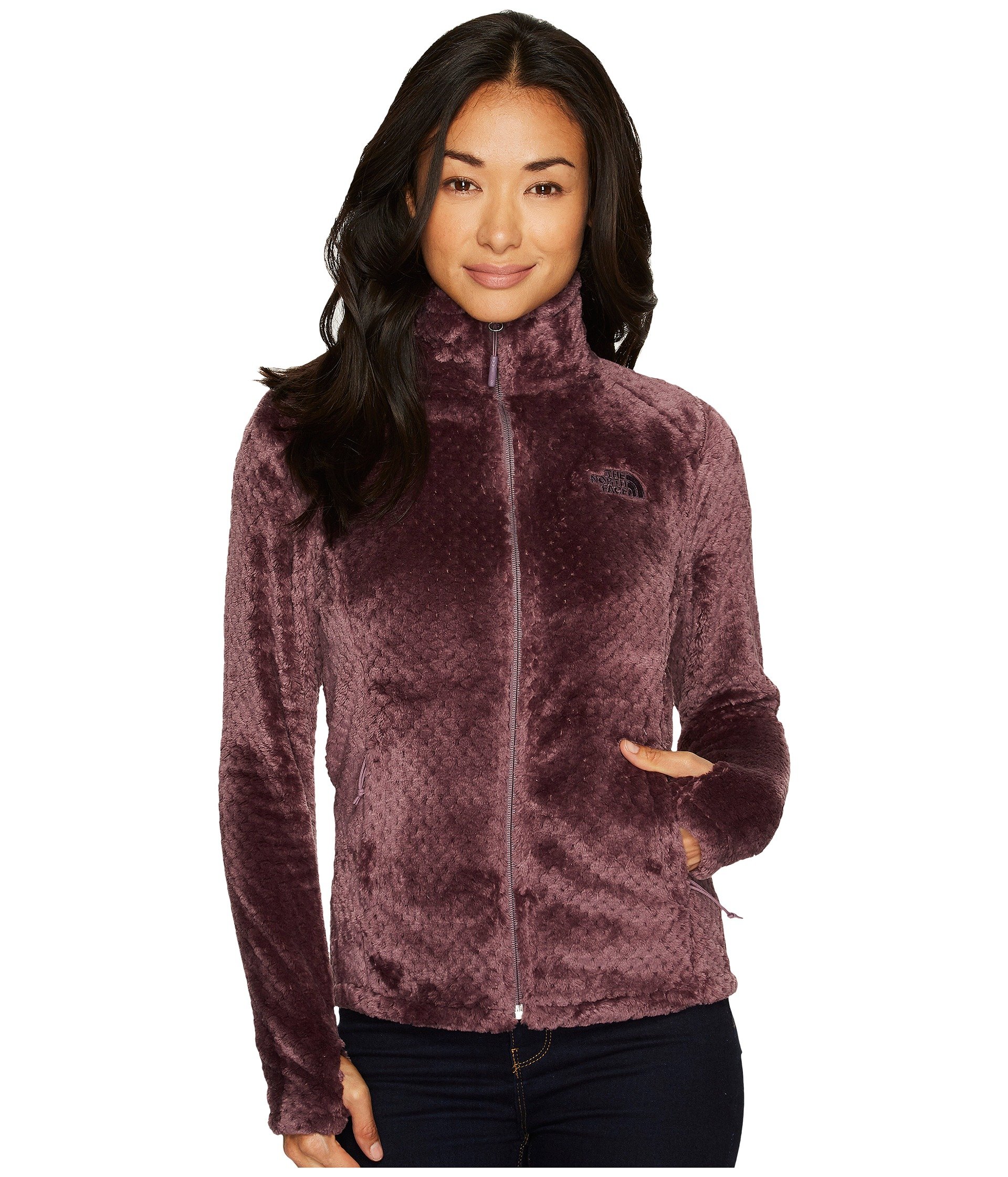 The North Face Novelty Osito Jacket at