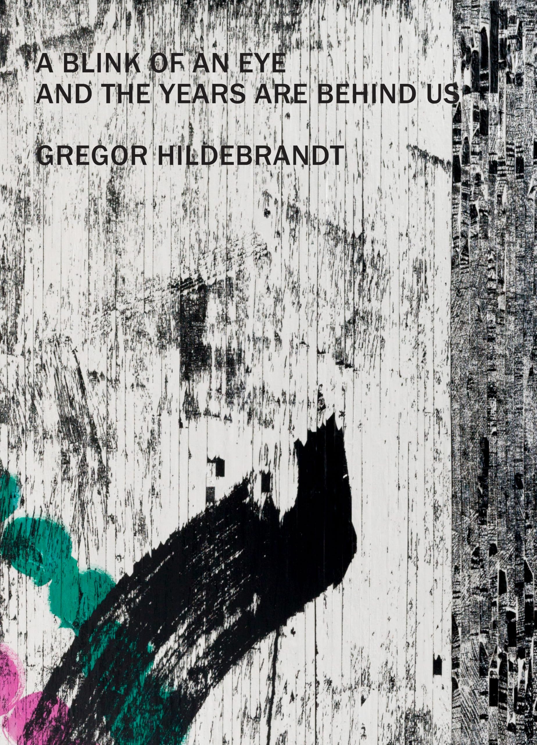 Gregor Hildebrandt: A Blink of an Eye monographie d'art exclusive