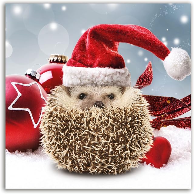 The Heritage Press 'Prickly Christmas' - Hedgehog with Red Hat- Christmas Cards Multipack - for Family and Friends - Pack of 8