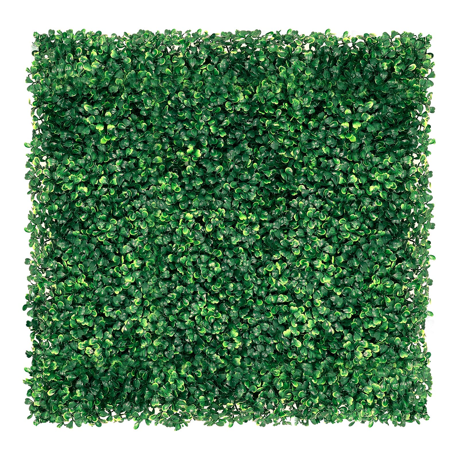 Photo 1 of *BRAND NEW* N&B NICE&BRAVO Grass Wall Panel Artificial Hedge Boxwood Panels Privacy Screen