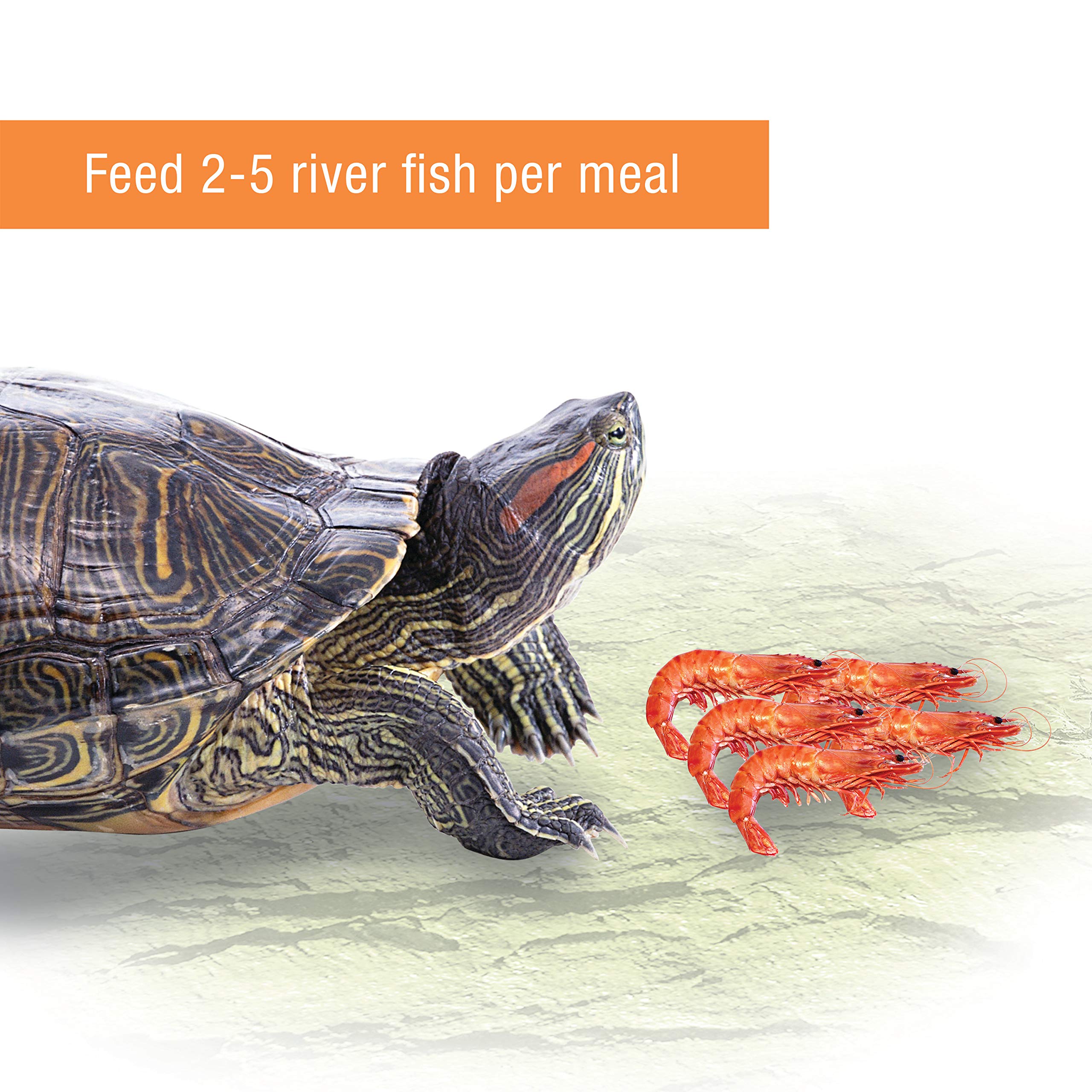 Buy Zilla Reptile Food Munchies River Shrimp for Turtles, Salamanders