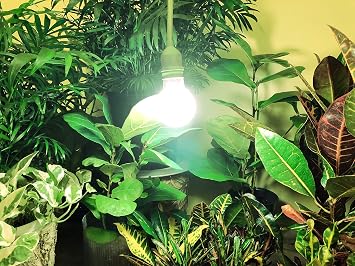Easy Grow Plug-in Light Socket, 1-Socket