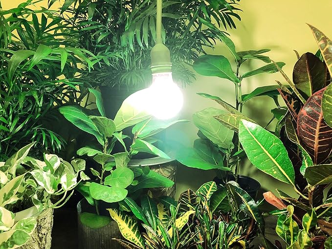 Miracle LED MiracleLED 602581 LED-Ready Single Socket Corded Lighting System Kit w/Almost Free Energy Green Stasis LED Lite (4-Pack) photo 2