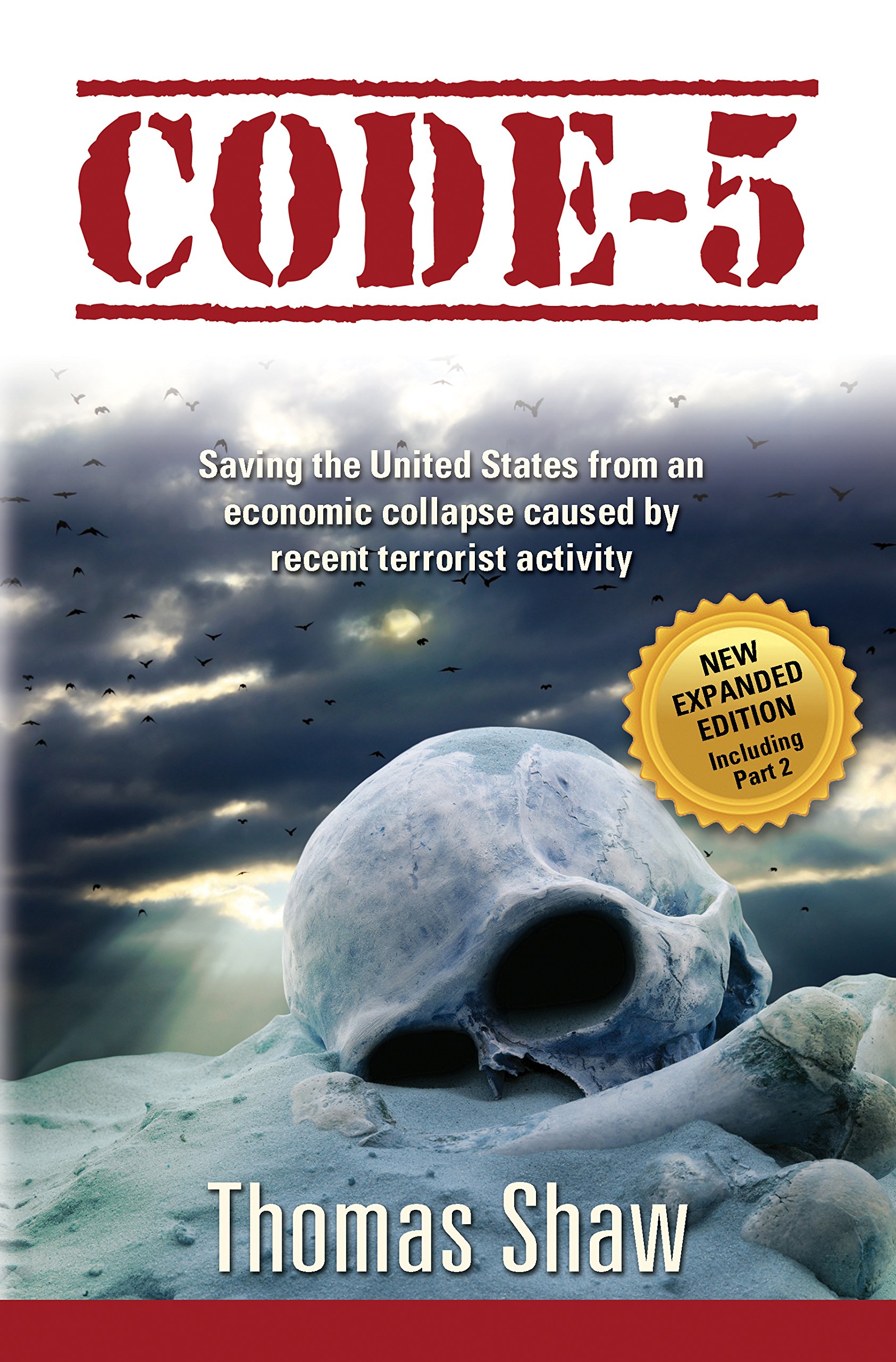 Code-5: Saving the United States from an economic collapse caused by recent terrorist activity (Adventures of a Baby Boomer)