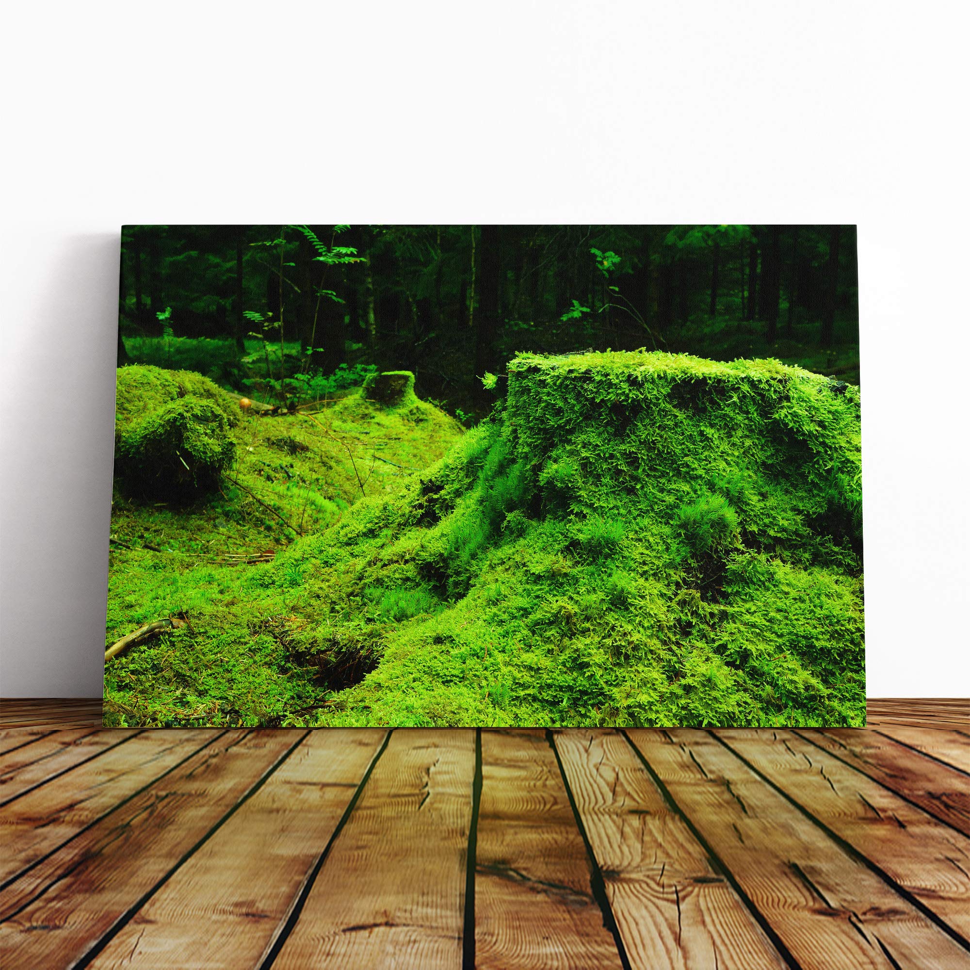 Landscape Forest Moss Norway Canvas Print | Gallery Wrapped 30mm Frame Wall Art | 30x20 inches | Ready to Hang | Modern Landscape Picture | Living Room Bedroom Lounge Office