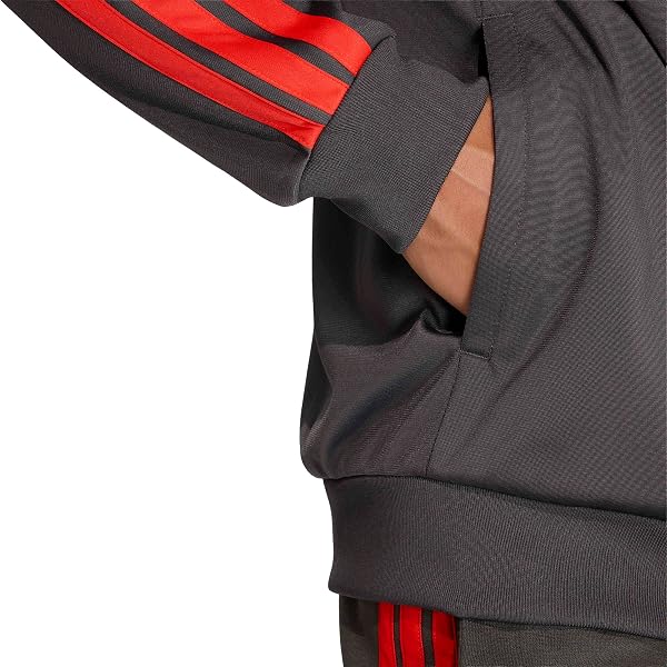 adidas Men's Sudadera Audi REVOLUT F1 Team DNA - 4