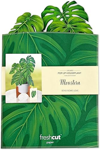 Miniatura 6 de Freshcut Paper Monstera - Tarjetas desplegables, 12 pulgadas, tamaño real, de papel para el hogar, tarjetas de felicitación emergentes en 3D,