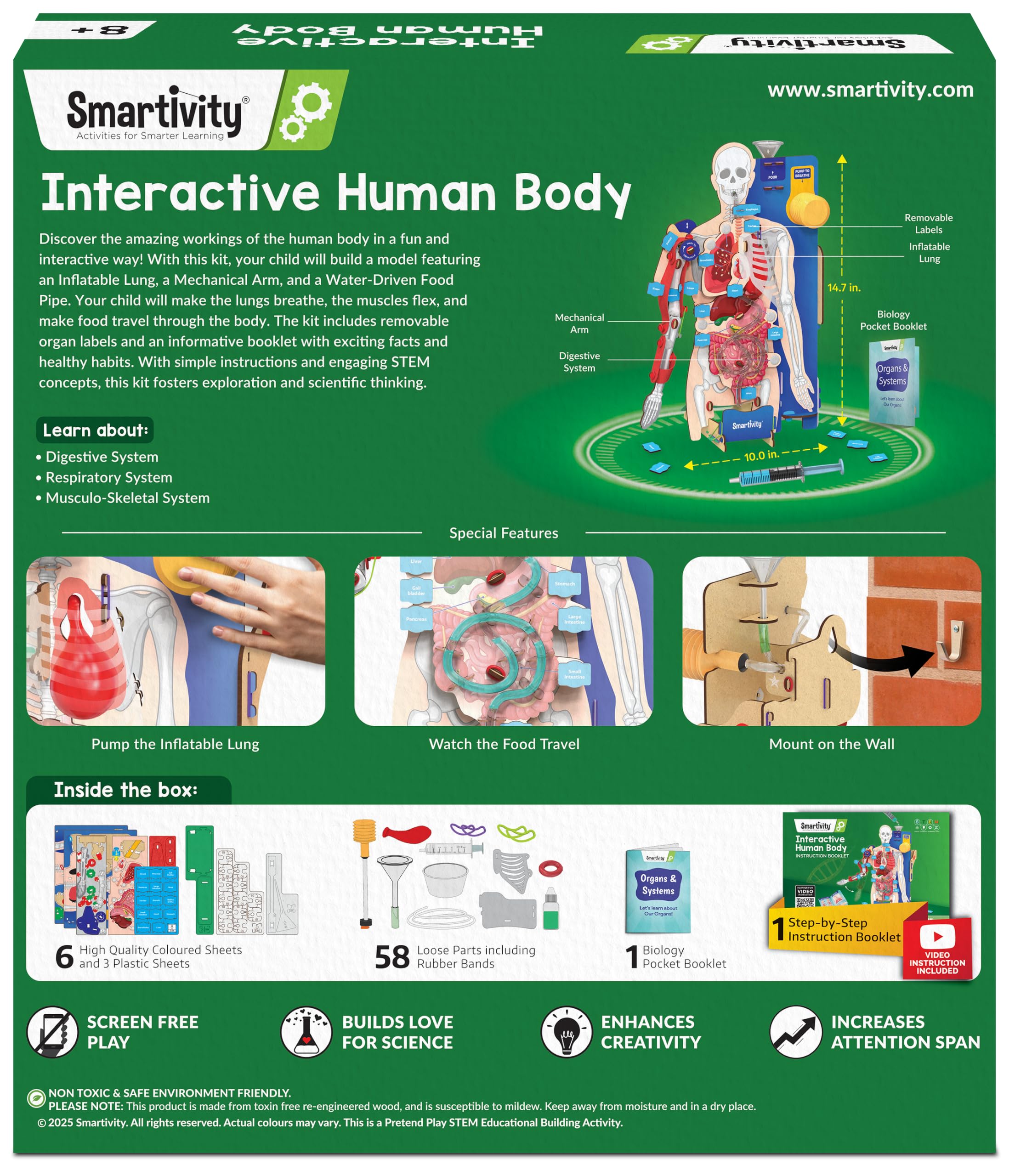 Smartivity Interactive Human Body Model for Kids 8-14 Years — Amazon image 8