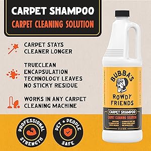 The10 Best Carpet Cleaners for Pets 7 91AA+xe K3L. AC SL300