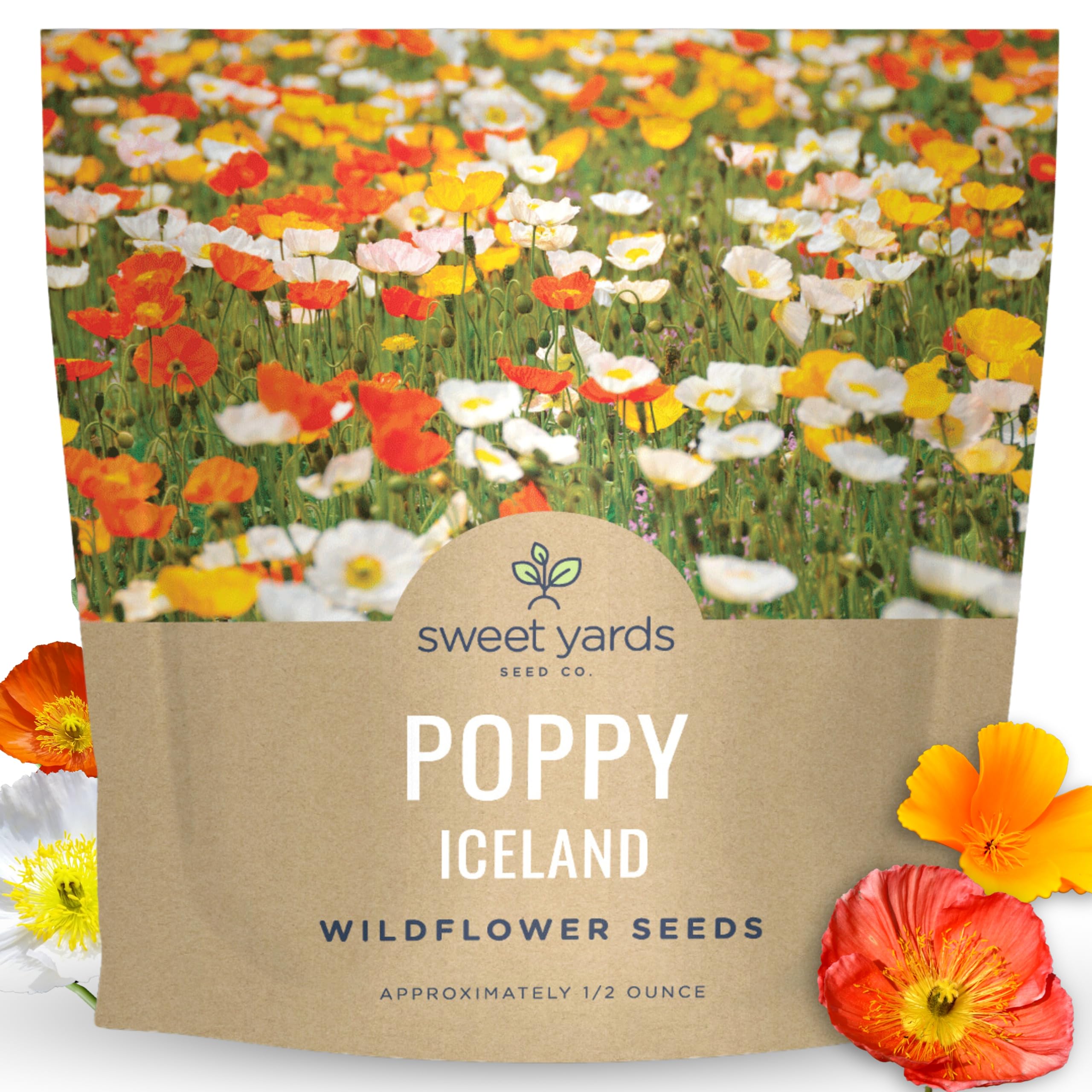 Amazon.com: Poppy - Iceland - Large 1/2 Ounce Packet - 75,000