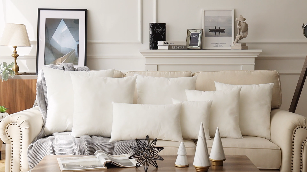 Phantoscope Throw Pillow Inserts