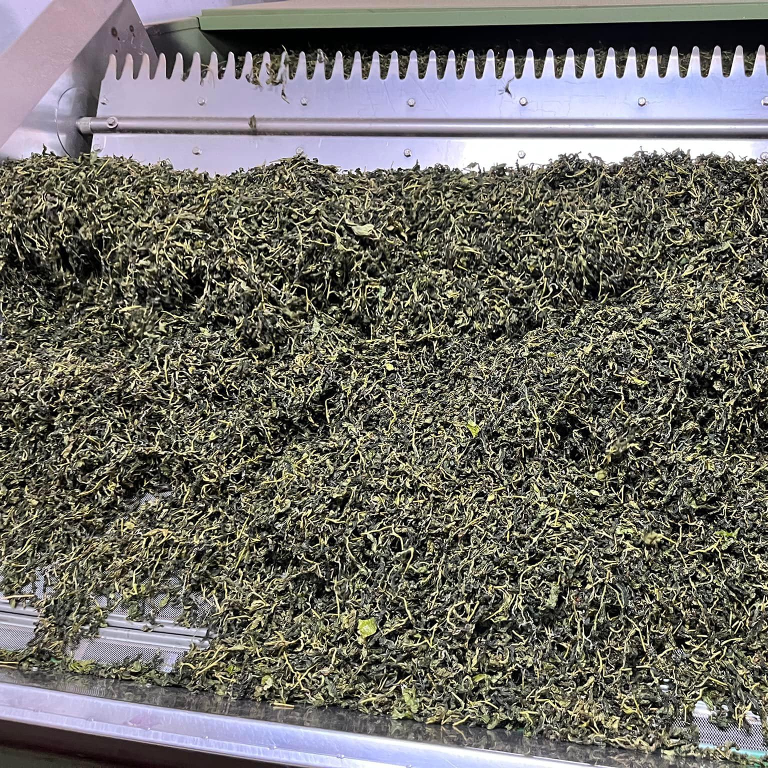 Taiwan unique tea,Namasya 條形紅茶,75g*8