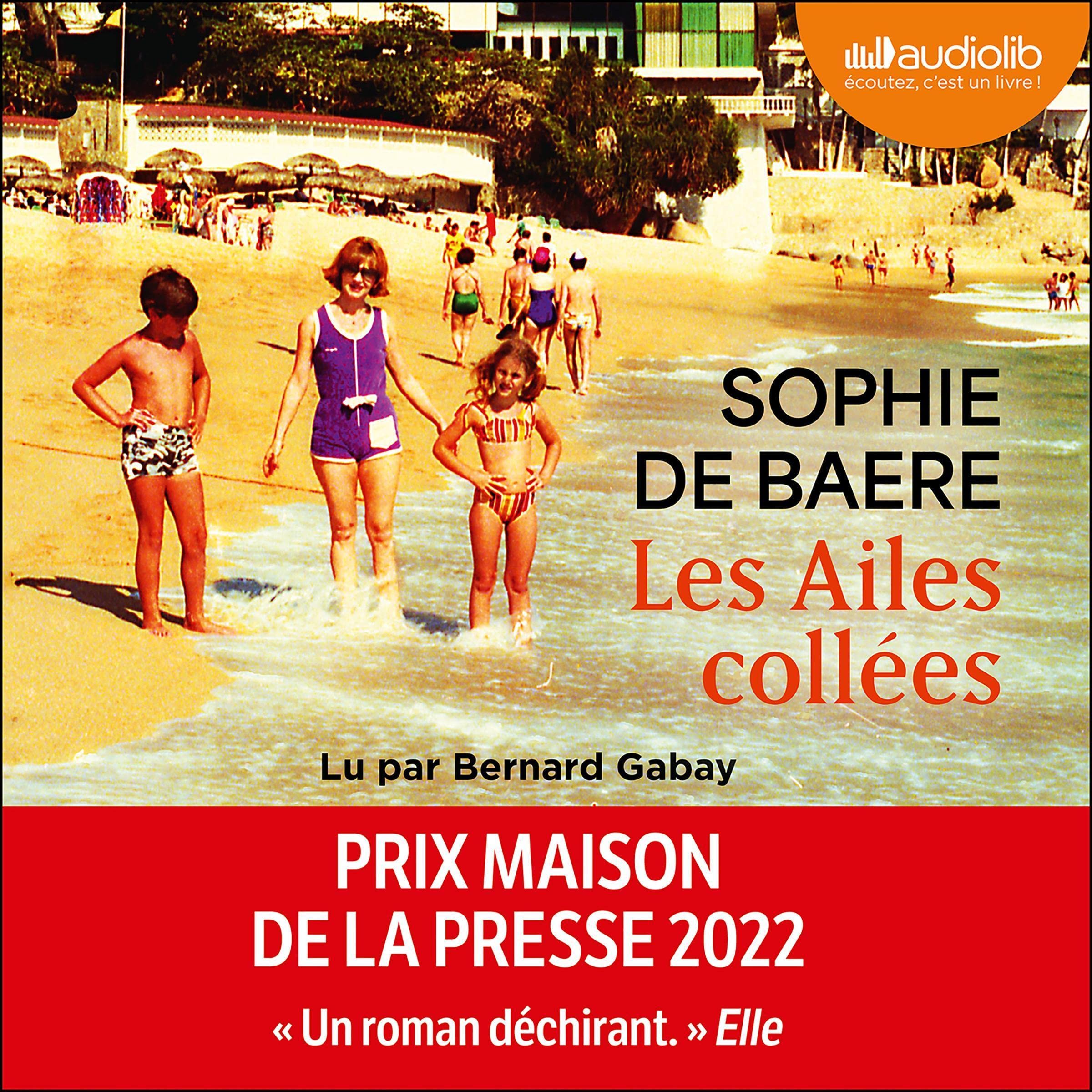 Cover art for Les Ailes collées