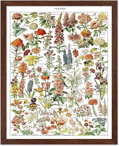 Miniatura 154 de Poster Master Póster vintage de orquídea, estampado de flores retro, arte de pared de plantas exóticas, arte botánico, regalo para hombres y