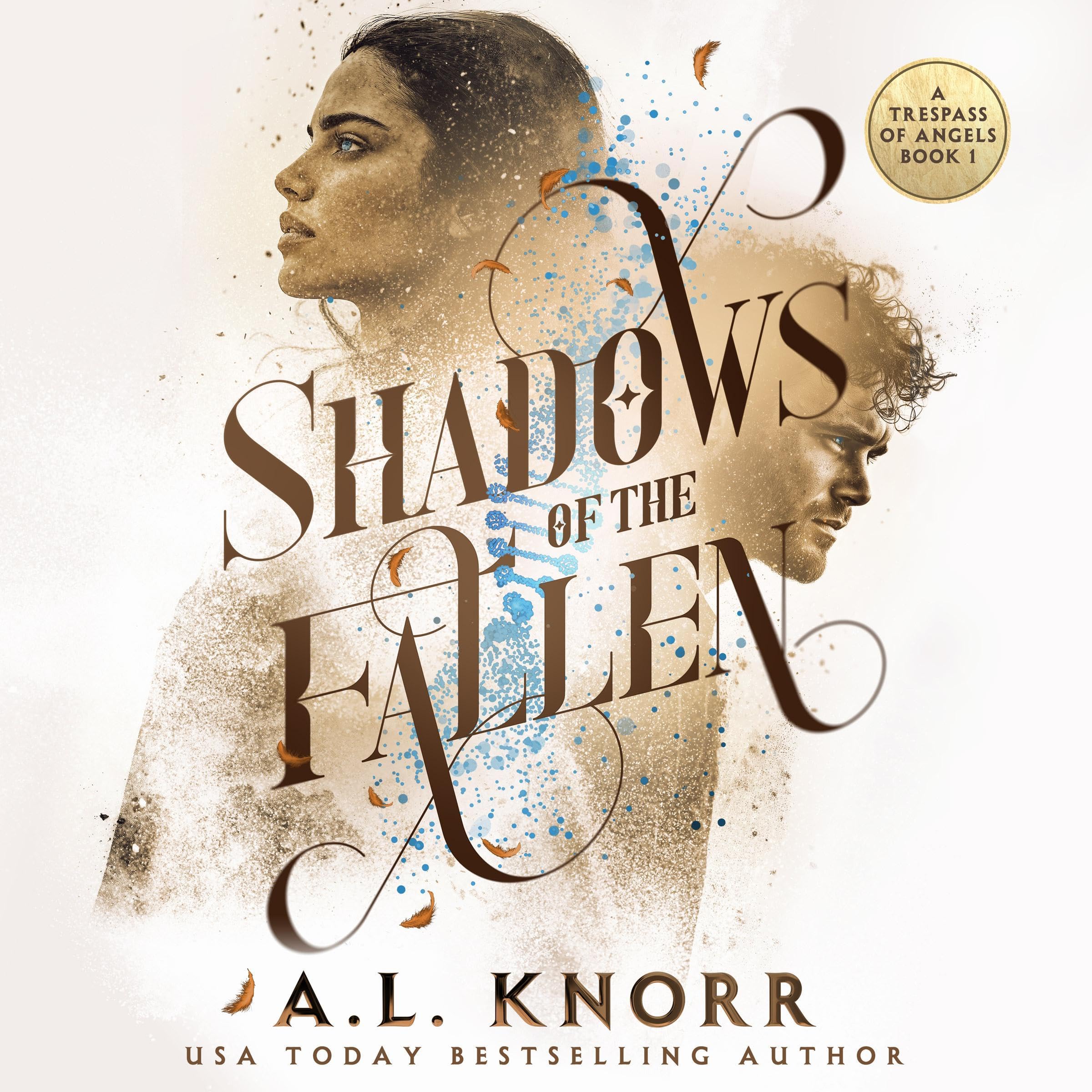 Cover art for Shadows of the Fallen