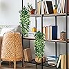 Product Photo 4