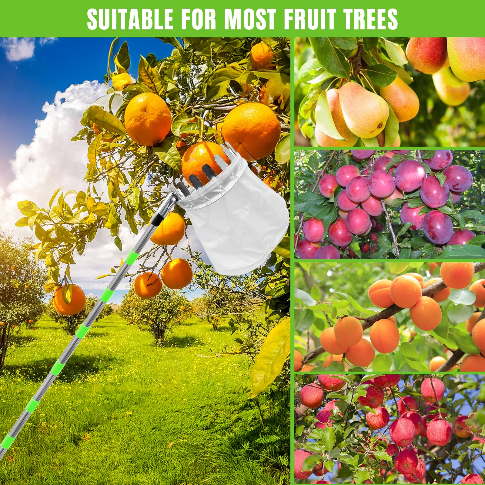 Cueille Fruit Telescopique, Cueille Fruit Avec Manche Télescopique 3.8m, Cueille-Fruits En Acier Inoxydable Avec Sac En Coton, Poteau Réglable Cueille Fruit Pour Pommes Poires Oranges Pêches