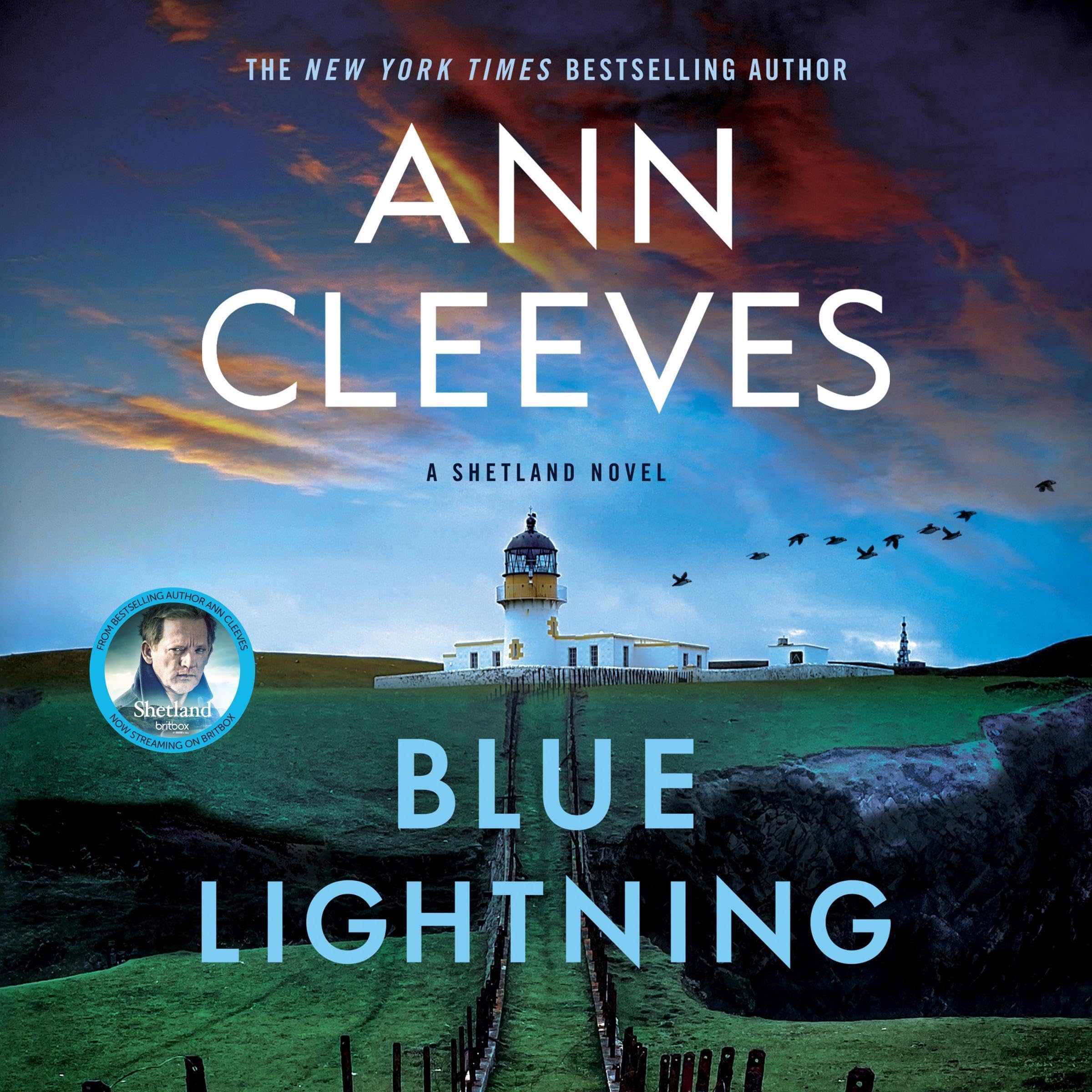 Cover art for Blue Lightning: A Thriller